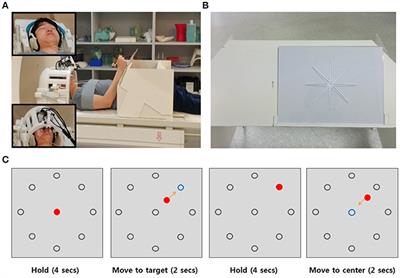 Reconstruction of Arm Movement Directions from Human Motor Cortex Using fMRI